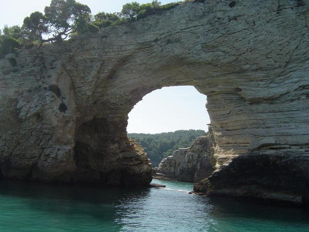 La Ficuzza Holiday home *